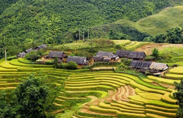 Ban Pho in Bac Ha